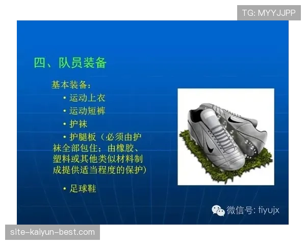 裁判报告在足球比赛中记录判罚细节和规则执行标准的重要作用