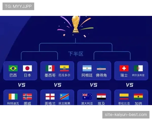 巴西世界杯32强赛程回顾：休斯敦对阵日本比赛信息
